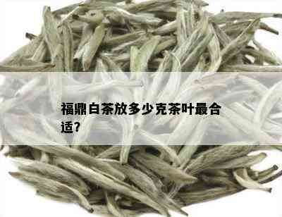 福鼎白茶放多少克茶叶最合适？