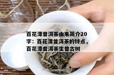 百花潭普洱茶由来简介20字：百花潭普洱茶的特点，百花潭普洱茶生普古树