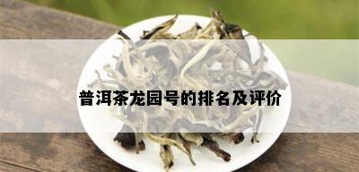 普洱茶龙园号的排名及评价