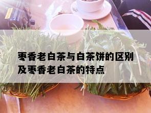 枣香老白茶与白茶饼的区别及枣香老白茶的特点