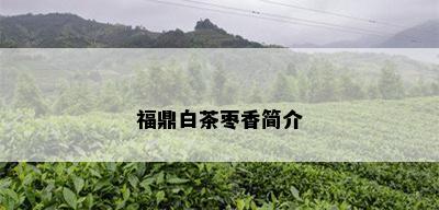 福鼎白茶枣香简介