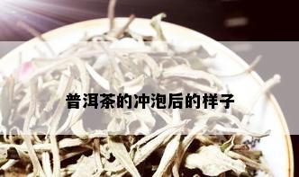 普洱茶的冲泡后的样子