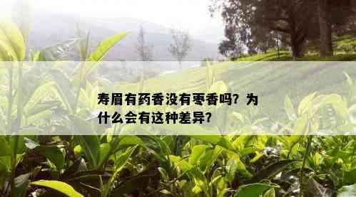 寿眉有药香没有枣香吗？为什么会有这种差异？