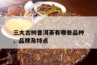 三大古树普洱茶有哪些品种、品牌及特点