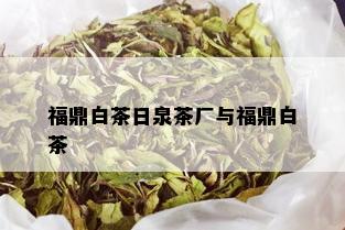 福鼎白茶日泉茶厂与福鼎白茶