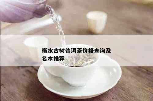 衡水古树普洱茶价格查询及名木推荐