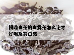 福鼎白茶的白露茶怎么泡才好喝及其口感