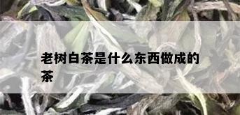 老树白茶是什么东西做成的茶