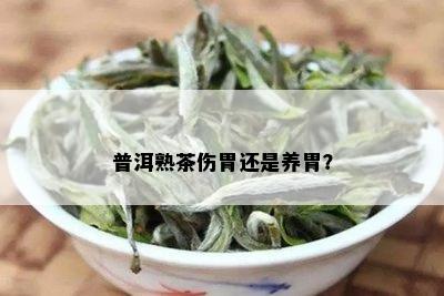 普洱熟茶伤胃还是养胃？