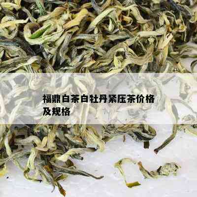 福鼎白茶白牡丹紧压茶价格及规格