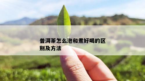 普洱茶怎么泡和煮好喝的区别及方法