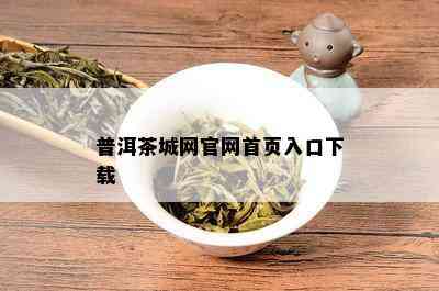 普洱茶城网官网首页入口下载