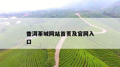 普洱茶城网站首页及官网入口