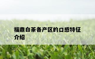 福鼎白茶各产区的口感特征介绍