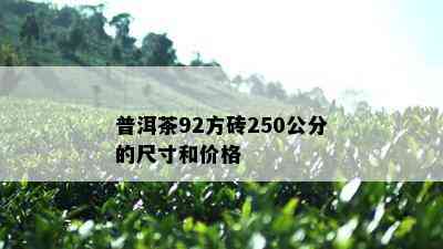 普洱茶92方砖250公分的尺寸和价格