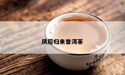 凤后归来普洱茶