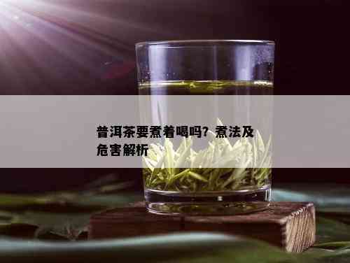 普洱茶要煮着喝吗？煮法及危害解析