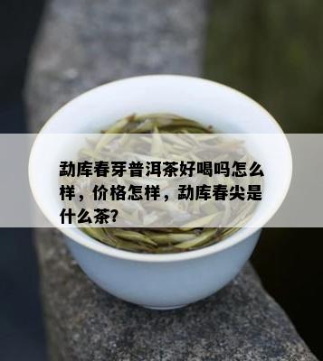 勐库春芽普洱茶好喝吗怎么样，价格怎样，勐库春尖是什么茶？