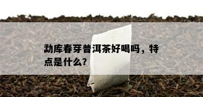 勐库春芽普洱茶好喝吗，特点是什么？