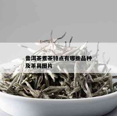 普洱茶煮茶特点有哪些品种及茶具图片