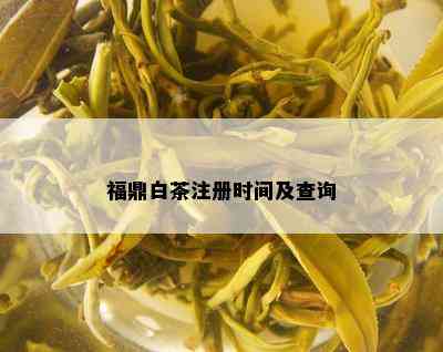 福鼎白茶注册时间及查询