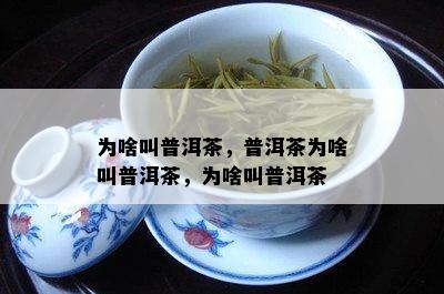 为啥叫普洱茶，普洱茶为啥叫普洱茶，为啥叫普洱茶