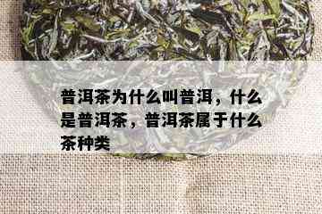 普洱茶为什么叫普洱，什么是普洱茶，普洱茶属于什么茶种类