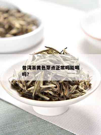 普洱茶黄色芽点正常吗能喝吗？