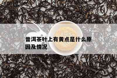 普洱茶叶上有黄点是什么原因及情况