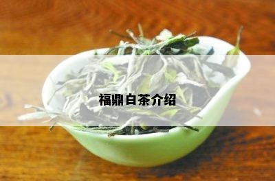 福鼎白茶介绍