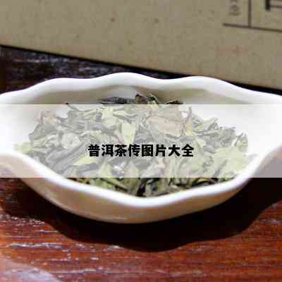 普洱茶传图片大全