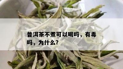 普洱茶不煮可以喝吗，有吗，为什么？