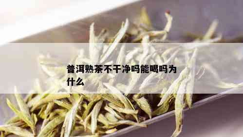 普洱熟茶不干净吗能喝吗为什么