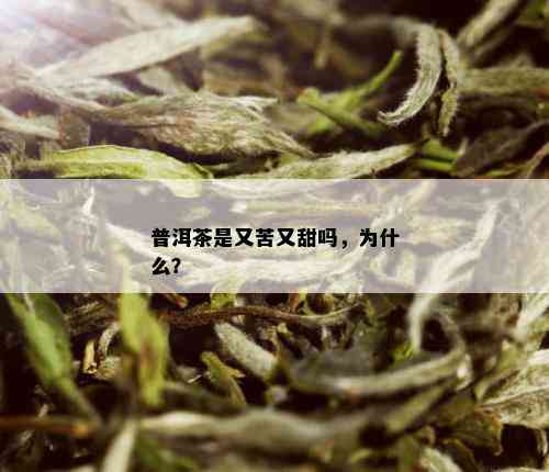 普洱茶是又苦又甜吗，为什么？