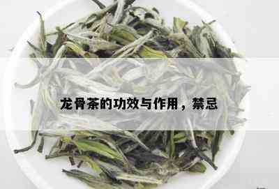 龙骨茶的功效与作用，禁忌