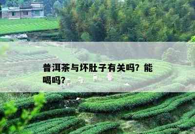 普洱茶与坏肚子有关吗？能喝吗？