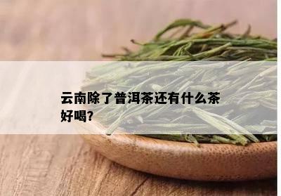 云南除了普洱茶还有什么茶好喝？