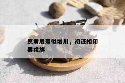 愿君眉寿似增川，初还相印罢戎旃