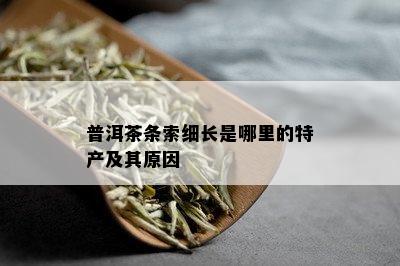 普洱茶条索细长是哪里的特产及其原因