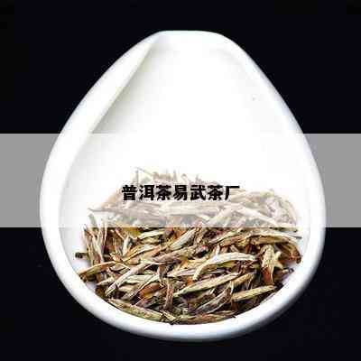 普洱茶易武茶厂