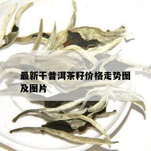 最新干普洱茶籽价格走势图及图片