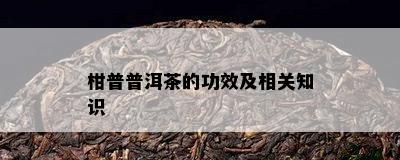 柑普普洱茶的功效及相关知识