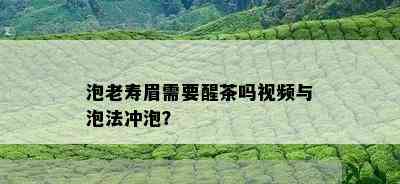 泡老寿眉需要醒茶吗视频与泡法冲泡？