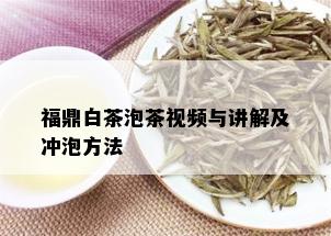 福鼎白茶泡茶视频与讲解及冲泡方法