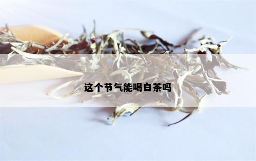 这个节气能喝白茶吗