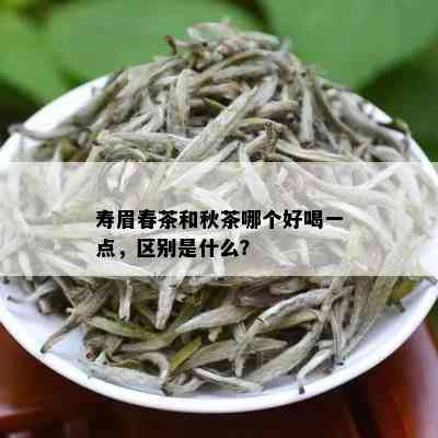 寿眉春茶和秋茶哪个好喝一点，区别是什么？