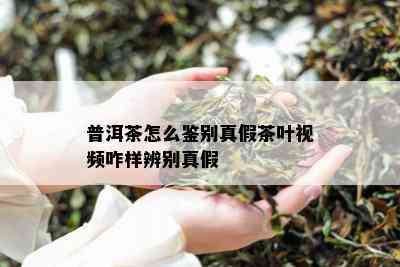 普洱茶怎么鉴别真假茶叶视频咋样辨别真假