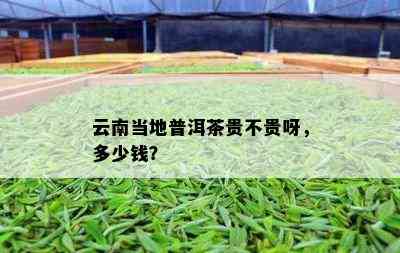 云南当地普洱茶贵不贵呀，多少钱？