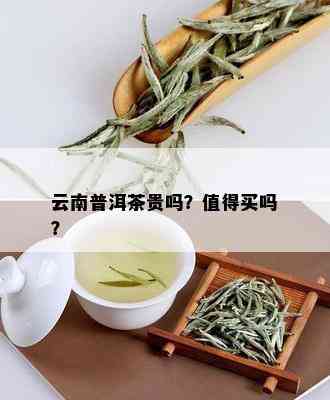 云南普洱茶贵吗？值得买吗？