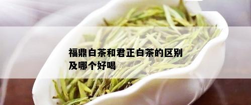 福鼎白茶和君正白茶的区别及哪个好喝